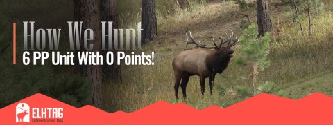 How I'm Hunting A 2 Preference Point Elk Unit In Colorado Without Using Points